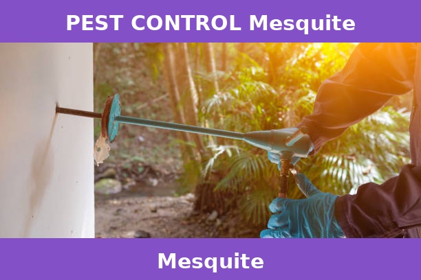 PEST CONTROL Mesquite